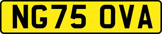 NG75OVA