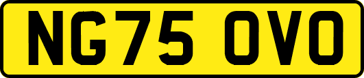 NG75OVO