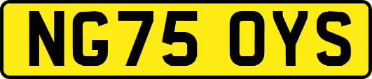 NG75OYS