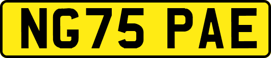 NG75PAE