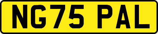NG75PAL