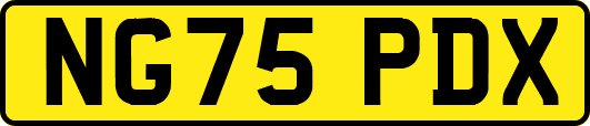 NG75PDX