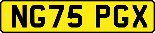 NG75PGX