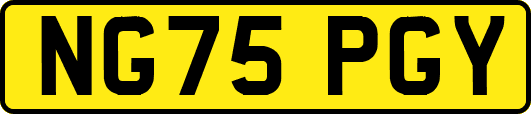 NG75PGY
