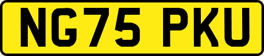NG75PKU