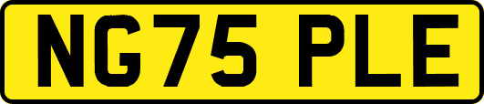 NG75PLE