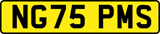 NG75PMS