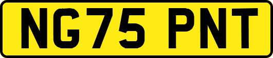 NG75PNT