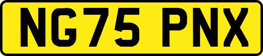 NG75PNX