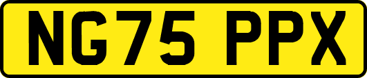 NG75PPX