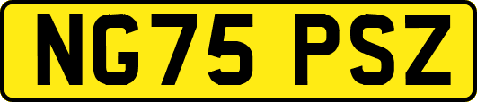 NG75PSZ