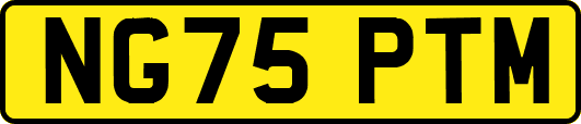 NG75PTM