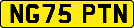 NG75PTN