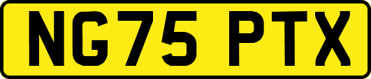 NG75PTX