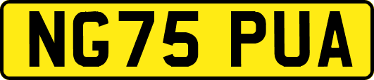 NG75PUA
