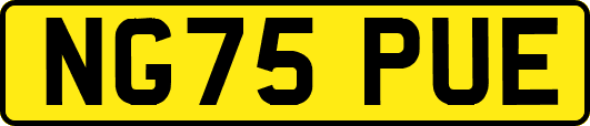 NG75PUE