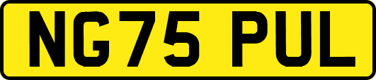NG75PUL