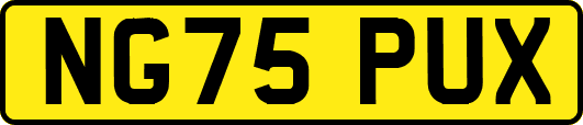 NG75PUX