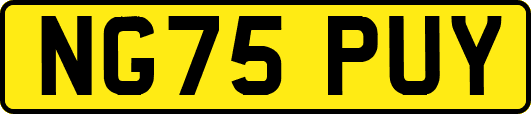 NG75PUY