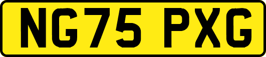 NG75PXG