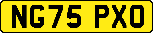 NG75PXO