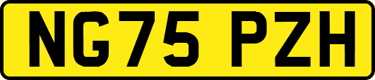 NG75PZH