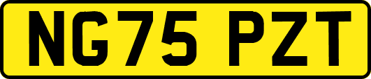 NG75PZT