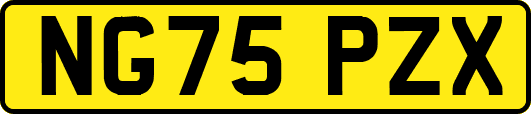 NG75PZX