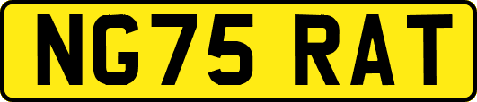 NG75RAT