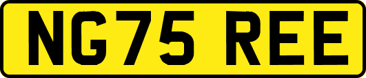 NG75REE