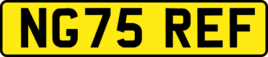 NG75REF