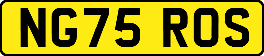 NG75ROS