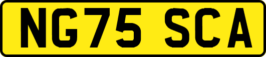 NG75SCA
