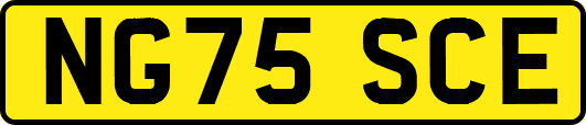 NG75SCE