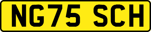 NG75SCH