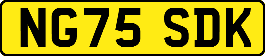 NG75SDK