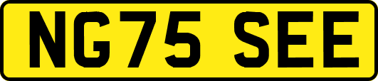 NG75SEE