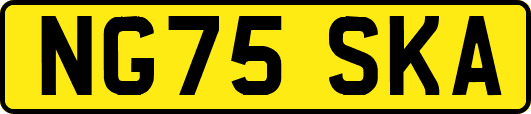 NG75SKA