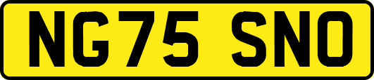 NG75SNO