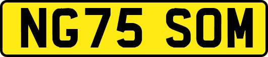 NG75SOM