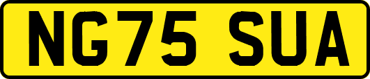 NG75SUA