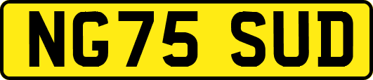 NG75SUD