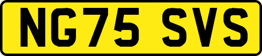 NG75SVS