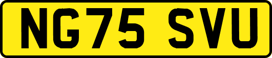 NG75SVU
