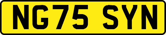 NG75SYN