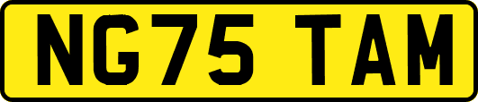 NG75TAM