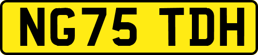 NG75TDH