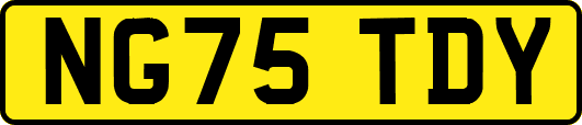 NG75TDY