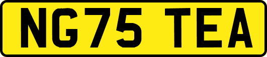 NG75TEA