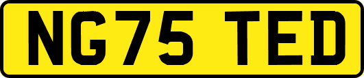 NG75TED
